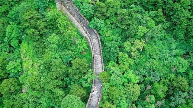 数字化机遇与产品化困境