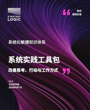 系统实践：改善思考、行动与工作方式